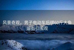 風(fēng)景奇觀(guān)，男子電動(dòng)車(chē)后綁60斤大魚(yú)遛街引圍觀(guān)