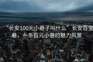 “長(cháng)安100元小巷子叫什么”長(cháng)安百寶巷，一條百元小巷的魅力風(fēng)景