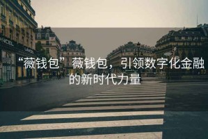 “薇錢(qián)包”薇錢(qián)包，引領(lǐng)數字化金融的新時(shí)代力量