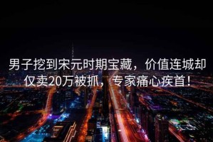 男子挖到宋元時(shí)期寶藏，價(jià)值連城卻僅賣(mài)20萬(wàn)被抓，專(zhuān)家痛心疾首！