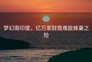 夢(mèng)幻南印度，億萬(wàn)家財竟難敵蜂巢之險