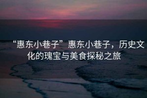“惠東小巷子”惠東小巷子，歷史文化的瑰寶與美食探秘之旅