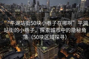 “平湖站街50塊小巷子在哪啊”平湖站街的小巷子，探索城市中的隱秘角落（50塊區域探尋）