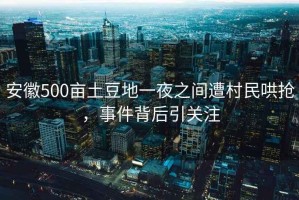 安徽500畝土豆地一夜之間遭村民哄搶?zhuān)录澈笠P(guān)注