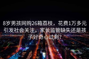 8歲男孩網(wǎng)購26箱荔枝，花費1萬(wàn)多元引發(fā)社會(huì )關(guān)注，家長(cháng)監管缺失還是孩子好奇心過(guò)剩？