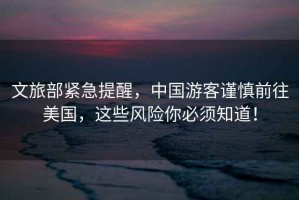 文旅部緊急提醒，中國游客謹慎前往美國，這些風(fēng)險你必須知道！