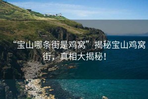 “寶山哪條街是雞窩”揭秘寶山雞窩街，真相大揭秘！