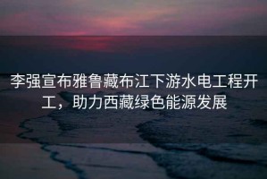 李強宣布雅魯藏布江下游水電工程開(kāi)工，助力西藏綠色能源發(fā)展