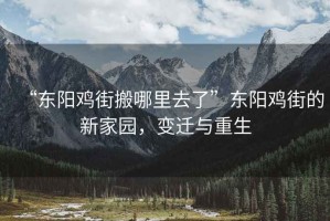 “東陽(yáng)雞街搬哪里去了”東陽(yáng)雞街的新家園，變遷與重生