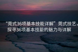 “莞式36項基本技能詳解”莞式技藝，探尋36項基本技能的魅力與詳解