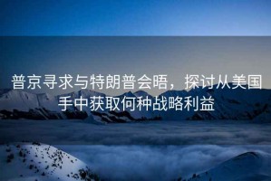 普京尋求與特朗普會(huì )晤，探討從美國手中獲取何種戰略利益