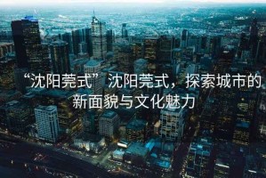 “沈陽(yáng)莞式”沈陽(yáng)莞式，探索城市的新面貌與文化魅力