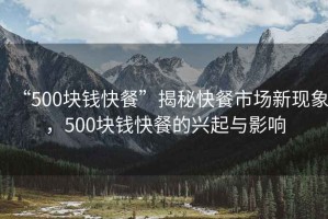 “500塊錢(qián)快餐”揭秘快餐市場(chǎng)新現象，500塊錢(qián)快餐的興起與影響