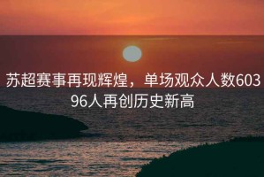 蘇超賽事再現輝煌，單場(chǎng)觀(guān)眾人數60396人再創(chuàng  )歷史新高