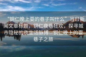 “銅仁晚上耍的巷子叫什么”當日新聞文章標題，銅仁夜巷狂歡，探尋城市隱秘的夜生活脈搏—銅仁晚上的耍巷子之旅