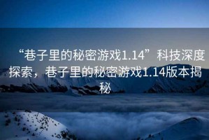 “巷子里的秘密游戲1.14”科技深度探索，巷子里的秘密游戲1.14版本揭秘
