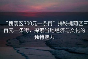 “槐蔭區300元一條街”揭秘槐蔭區三百元一條街，探索當地經(jīng)濟與文化的獨特魅力