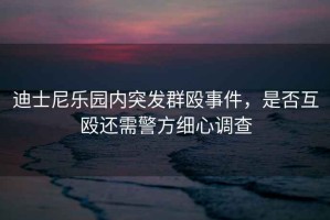 迪士尼樂(lè )園內突發(fā)群毆事件，是否互毆還需警方細心調查