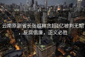 云南原副省長(cháng)張祖林貪超1億被判無(wú)期，反腐倡廉，正義必勝