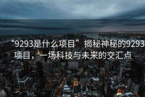 “9293是什么項目”揭秘神秘的9293項目，一場(chǎng)科技與未來(lái)的交匯點(diǎn)