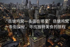 “岳塘雞窩一條街在哪里”岳塘雞窩一條街探秘，尋找獨特美食的旅程