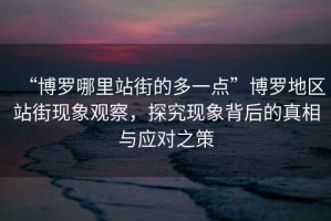 “博羅哪里站街的多一點(diǎn)”博羅地區站街現象觀(guān)察，探究現象背后的真相與應對之策