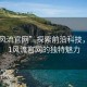 “51風(fēng)流官網(wǎng)”探索前沿科技，揭秘51風(fēng)流官網(wǎng)的獨特魅力