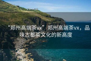 “鄭州高端茶vx”鄭州高端茶vx，品味古都茶文化的新高度