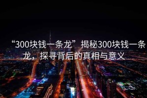 “300塊錢(qián)一條龍”揭秘300塊錢(qián)一條龍，探尋背后的真相與意義