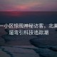上海一小區驚現神秘訪(fǎng)客，北美赤狐遛彎引科技追蹤潮
