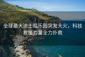 全球最大迪士尼樂(lè )園突發(fā)大火，科技救援力量全力撲救