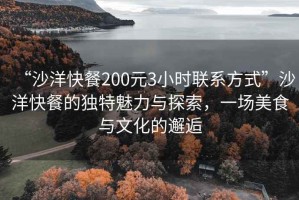 “沙洋快餐200元3小時(shí)聯(lián)系方式”沙洋快餐的獨特魅力與探索，一場(chǎng)美食與文化的邂逅