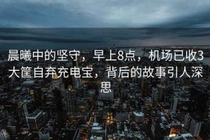 晨曦中的堅守，早上8點(diǎn)，機場(chǎng)已收3大筐自棄充電寶，背后的故事引人深思