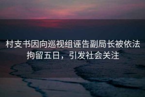 村支書(shū)因向巡視組誣告副局長(cháng)被依法拘留五日，引發(fā)社會(huì )關(guān)注