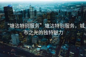 “塘沽特別服務(wù)”塘沽特別服務(wù)，城市之光的獨特魅力
