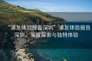 “浦友體驗報告深圳”浦友體驗報告深圳，深度探索與獨特體驗