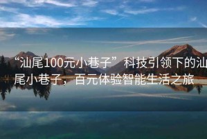 “汕尾100元小巷子”科技引領(lǐng)下的汕尾小巷子，百元體驗智能生活之旅