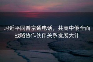 習近平同普京通電話(huà)，共商中俄全面戰略協(xié)作伙伴關(guān)系發(fā)展大計