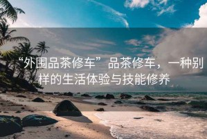 “外圍品茶修車(chē)”品茶修車(chē)，一種別樣的生活體驗與技能修養