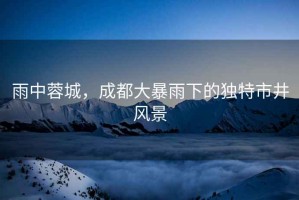 雨中蓉城，成都大暴雨下的獨特市井風(fēng)景