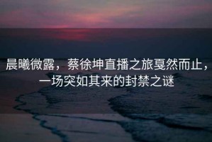 晨曦微露，蔡徐坤直播之旅戛然而止，一場(chǎng)突如其來(lái)的封禁之謎