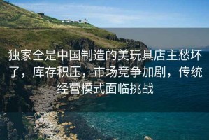 獨家全是中國制造的美玩具店主愁壞了，庫存積壓，市場(chǎng)競爭加劇，傳統經(jīng)營(yíng)模式面臨挑戰