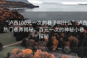 “瀘西100元一次的巷子叫什么”瀘西熱門(mén)巷弄揭秘，百元一次的神秘小巷探秘