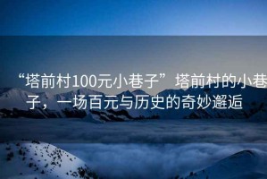 “塔前村100元小巷子”塔前村的小巷子，一場(chǎng)百元與歷史的奇妙邂逅