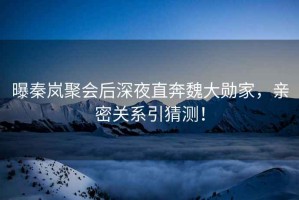 曝秦嵐聚會(huì )后深夜直奔魏大勛家，親密關(guān)系引猜測！