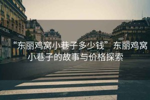 “東麗雞窩小巷子多少錢(qián)”東麗雞窩小巷子的故事與價(jià)格探索