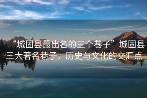 “城固縣最出名的三個(gè)巷子”城固縣三大著(zhù)名巷子，歷史與文化的交匯點(diǎn)