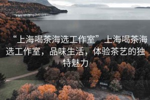 “上海喝茶海選工作室”上海喝茶海選工作室，品味生活，體驗茶藝的獨特魅力