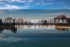 杭州多名小學(xué)生疑因工廠(chǎng)排放流鼻血，環(huán)保部門(mén)緊急介入調查