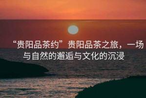 “貴陽(yáng)品茶約”貴陽(yáng)品茶之旅，一場(chǎng)與自然的邂逅與文化的沉浸
